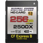 Digital Speed 2500X 256GB PRO CFexpress Card Type B