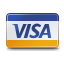 payment visa